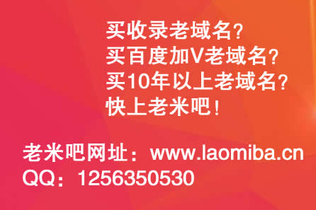 中文域名正成为行业一抹亮色 领跑全球顶级域名市场